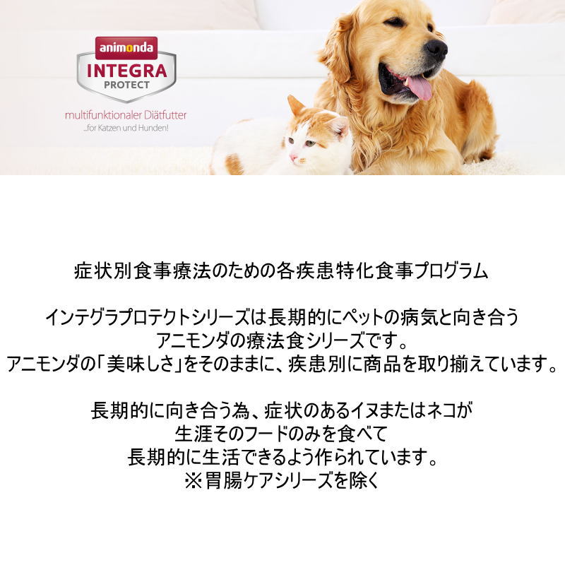 最短賞味2026.11・アニモンダ 犬 インテ...の紹介画像3