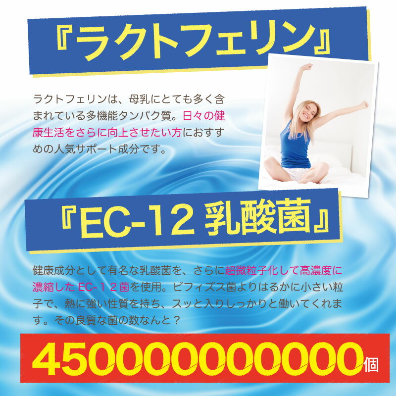 �򹯤��äפ����� ���äפ�饯�ȥե���� ������ ��6����ʬ/360γ �饯�ȥե���� 4500�� EC12 ������ �ӡ������ �ۥ����ץ��ƥ��� ���ץ�
