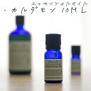 アロマオイル カルダモン 10ml スパ