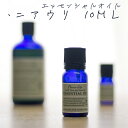 アロマオイル ニアウリ 10ml AEAJ表示