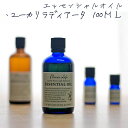 アロマオイル ユーカリラディアータ 100ml AEAJ表示基準適合認定精油 高品質 エッセンシャルオイル 精油 アロマオイル 人気 アロマテラ..