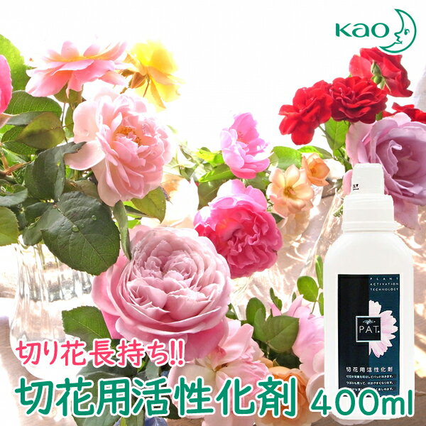 送料込価格 花王 切花用活性化剤 PAT(R) 400ml 活性剤 切花延命剤 切り花用活性化剤 植物用 長持ち 切り花専用 活性化剤 おすすめ 綺麗に咲く 植物用 花びら 防菌剤 防腐剤 栄養 花屋 高品質 すぐしおれない パット フラワー クーポン配布中