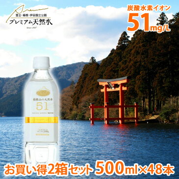 お買い得2箱セット 箱根山の天然水51 500ml × 48本 国内ミネラルウォーター ペットボトル プレミアム天然水 飲む温泉水 箱根の天然水 炭酸水素イオン 備蓄用 飲む温泉水 非常用 国内天然水 災害物資 被災物資 震災物資 ウイルス対策 備蓄用 ストック