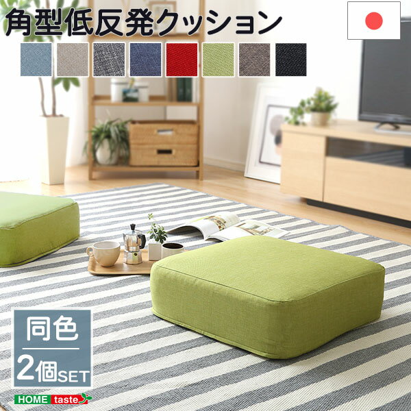 しっとり沈むカバーリング低反発クッション 洗濯可能なクッションカバー 角型 joue - ジュー - 同色 2個SET