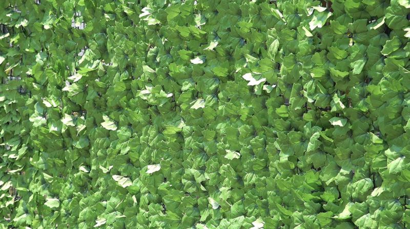 グリーンフェンス ダークグリーン 人気 おすすめ メーカー直送 谷村実業 便利 景品 プレゼント イベント 賞品 クーポン配布中