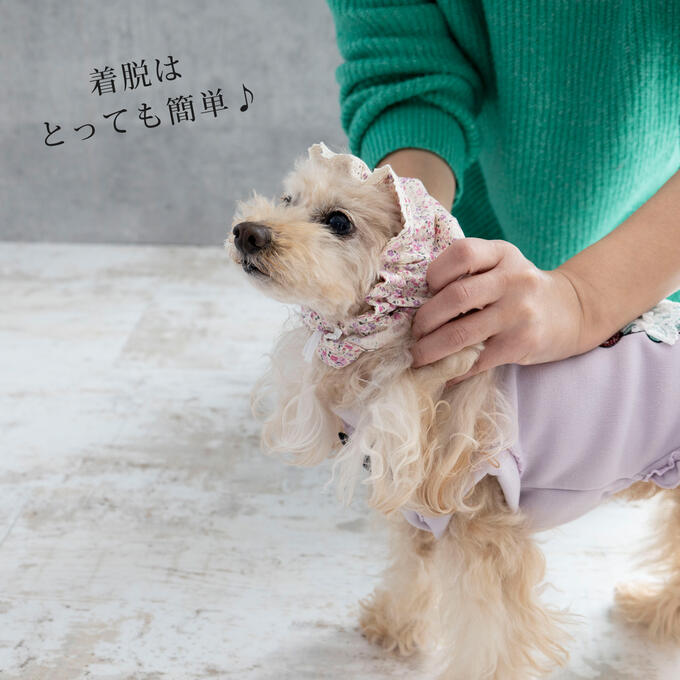 小型犬 中型犬 日本製 ペット用 スヌード 耳汚れ防止 耳カバー 食事スヌード サイズ調節可能 フリーサイズ Dsnf おしゃれ かわいい 犬服 食事 犬 散歩 いぬ ネコポス可 ビッグ割引