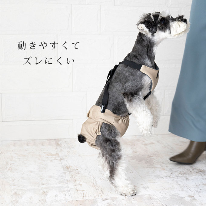 サンプル画像3