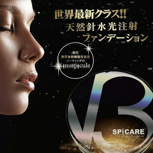 送料無料!【正規品】SPICARE V3エキサイティングファンデーション スピケア V3ファンデーション 15g ▲