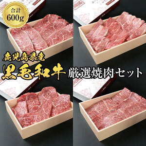 【送料無料】 特撰 鹿児島県産 黒毛和牛 A5 ランク 店長厳選 おまかせ 焼肉セット 600g 3人前 ～ 4人前 焼肉 食べ比べ 極上カルビ モモ赤身 ランプ イチボ ロース の中から 3種類 何が入るかお楽しみ 鹿児島牛 黒毛和牛 バーベキュー BBQ 焼肉 セット