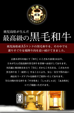 【キャッシュレス5％還元】【送料無料】特撰 鹿児島県産 黒毛和牛 A5 ランク カレー シチュー 用 カット サイコロ サイコロステーキ 500g 化粧箱入り【ギフト】【内祝い】【誕生日】【のし対応】 肉 お肉 牛肉 ギフト 卒業祝い 入学祝い プレゼント