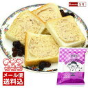 デキシー レーズンクリーム 10g×40ヶ 買い回り ポイント消化 【メール便】【正規品の賞味期限⇒発送日を含む45日以上保証】【訳あり品の賞味期限⇒2025年...