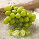 福島県産 シャインマスカット 【9月下旬-10月下旬発送 1箱に2-3房 約 1kg 】 種なし 皮ごと食べられる マスカット ぶどう ブドウ 葡萄 秋 フルーツ 送料無料 【お届け時期指定不可・同梱不可・沖縄離島不可】