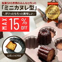 カヌレ沼 ミニ カヌレ型 カヌレ 型 スルッと取れるシリコン塗工 【楽天ランキング1位達成】炭素鋼製 外寸26×20cm 内寸(カップ寸)46×43mm