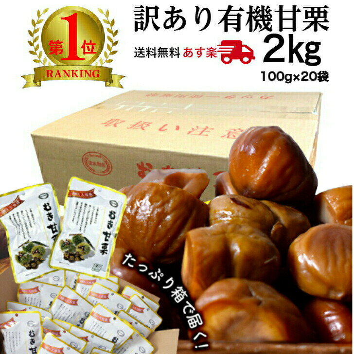 _ő20ItI 5/20^ 󂠂 ÌI 100g~20 [OXgbN   L@ VÊÌI ނÌI ܂ e ނI I͂ H Mtg uÌIv