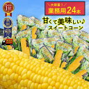 【ふるさと納税】【先行予約】あさひやま動物園しろくまコーン約4kg(ホワイトレディ10本)2024年8月下旬～発送開始予定_00308 | 白いとうもろこし 白いスイートコーン 産地直送 とうもろこし ホワイトレディ コーン ピュアホワイト 旭川市 送料無料