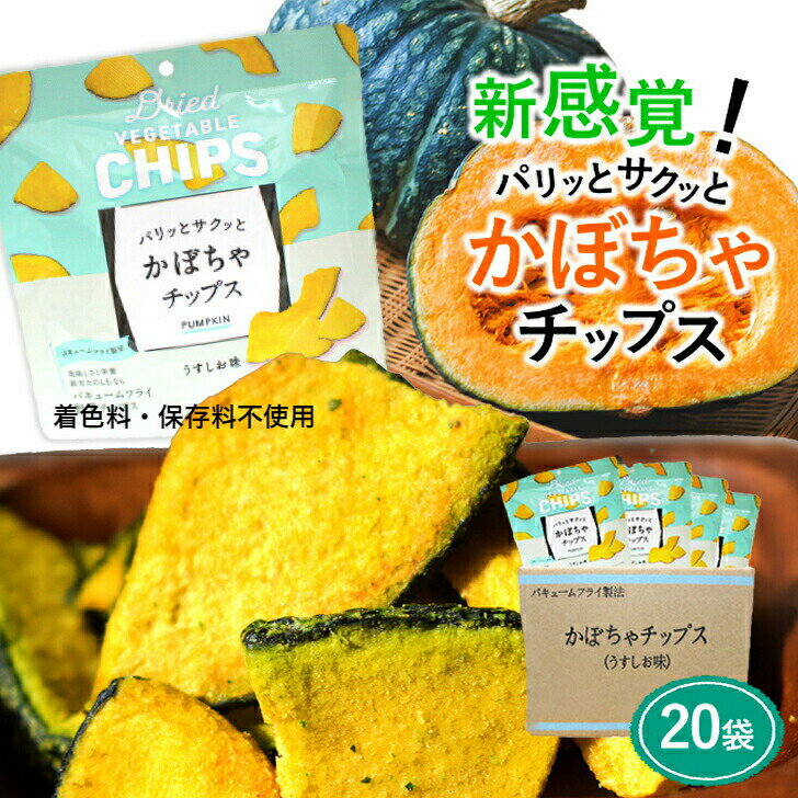 【480円オフクーポン！5月6日まで】 野菜チップス かぼちゃ チップス 28g×20袋 野菜チップス あす楽 大容量 スナック バキュームフライ製法 揚げ菓子 カボチャ 買い周り 送料無料 【 防災 備蓄 非常食 】「野菜チップス」のサムネイル