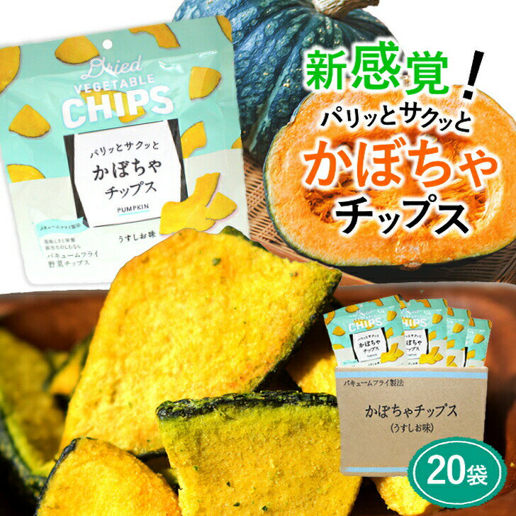 ＼最大30％オフ Happy day 5/19／ 野菜チップス かぼちゃ チップス 28g×20袋 野菜チップス あす楽 大容量 スナック バキュームフライ製法 揚げ菓子 カボチャ 買い周り 送料無料 【 防災 備蓄 非常食 】「野菜チップス」