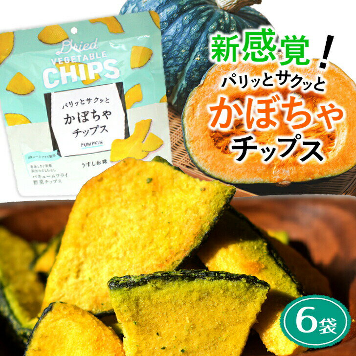 ＼最大15％オフ Happy day 5/19／ かぼちゃチップス 6袋 168g 野菜チップス スナック バキュームフライ製法 揚げ菓子 カボチャ 買い回り 買回り 送料無料 【 防災 備蓄 非常食 】 「野菜スナック」