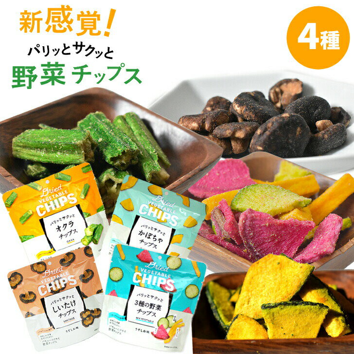 ＼最大15％オフ Happy day 5/19／ 野菜チップス 詰め合わせ 4袋 92g 野菜 スナック 揚げ菓子 カボチャ オクラ 椎茸 サツマイモ カブ 大根 真空フライ製法 バキュームフライ製法 かぼちゃ おくら しいたけ さつまいも