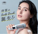 商品名：WAVEWAVE Scalp Brush Premium 商品型番：WAVEWAVE-011PRE　　 商品素材：ABS、PC　 リチウム電池容量：1000mAh 消費電力：5W　　 定格電源：3.7V 500mA　　 充電時間：3〜4時間 本体サイズ：190*61*63mm　　 重量：111g（本体のみ） *注意事項 本商品は医療機器ではなく、治療作用は一切ありません。 商品に含まれるもの ・本体（WAVEWAVE SCALP BRUSH PREMIUM） ・取扱説明書及び保証書 ・フェイス用アタッチメント ・ヘアオイルケア用アタッチメント ・ベース ・充電コード（TYPE-C） ・ACアダプター ・専用ポーチ ・クリーニングブラシ