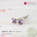 天然石のラウンドカット「アメジスト」 セカンドピアス 純チタン 金属アレルギー対応 レディースファッション アクセサリー お出かけ用 ギフト