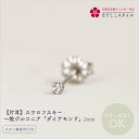 【片耳】スワロフスキー/一粒ジルコニア「ダイアモンド」2mm 純チタン つけっぱなしOK アレルギー対応 レディースファッション アクセサリー お出かけ用 キュービックジルコニア ギフト