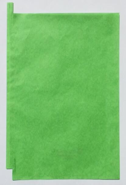 3000枚 シャイン用 21号 果実袋 ぶどう 緑 24.8×36cm （パッケージ無し） − 一色本店