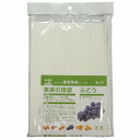 50枚 ぶどう用 窓付 果実袋 K-17 Gトップ19(グレープT-19) 一重掛袋 底有り 止め金有り 20.3×29cm − 一色本店