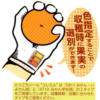 “とりごろ”シール coremil(コレミル) 5811 みかん・いよかん用 50枚 − 一色本店