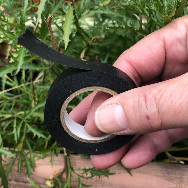 �»��� ����� Ͷ��Ǵ��ơ��� �¥����ǥ�ơ��� �Ϲ� 1.1cm��18M �� �쿧��Ź