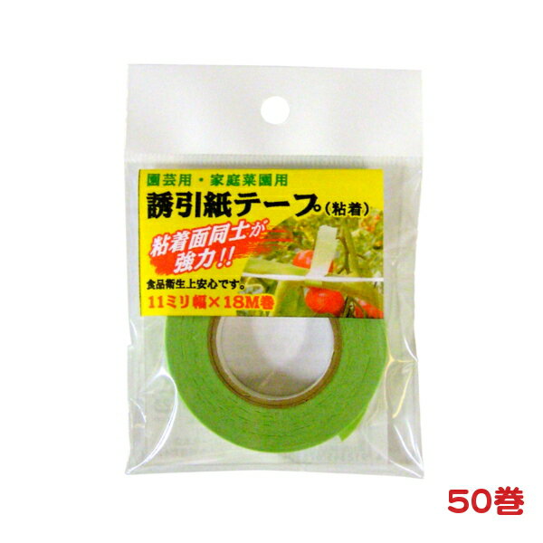 誘引・結束用テープ 50巻 粘着誘引紙テープ (個別パッケージ有り) 1.1cm×18M 50巻 − 一色本店