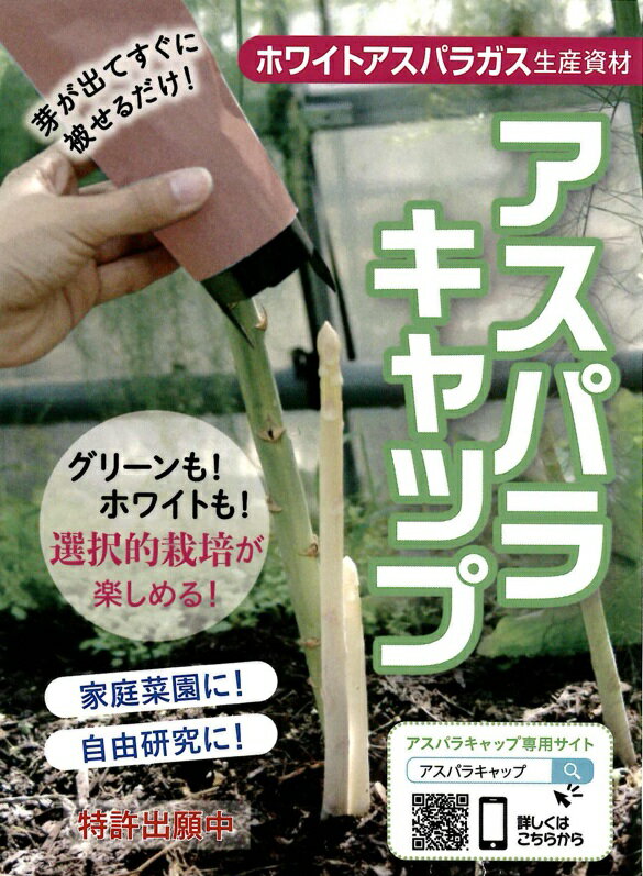 Rakuten - [即納] ホワイトアスパラガス生産資材　アスパラキャップ（1袋にサポーター5個・遮光袋10枚）