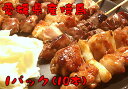 愛媛県産鶏肉使用 焼鳥串盛り合わせ 10本×1パック (ももねぎ2、もも2、肝2、砂肝2、皮2)たれ、塩こしょう付き - ナジャ工房