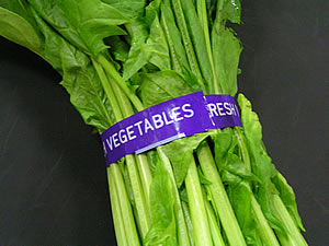 ���Фͤ�3000V ���ƥʥ󥹥��å� �ؿ�10�硦������50cc���������5��