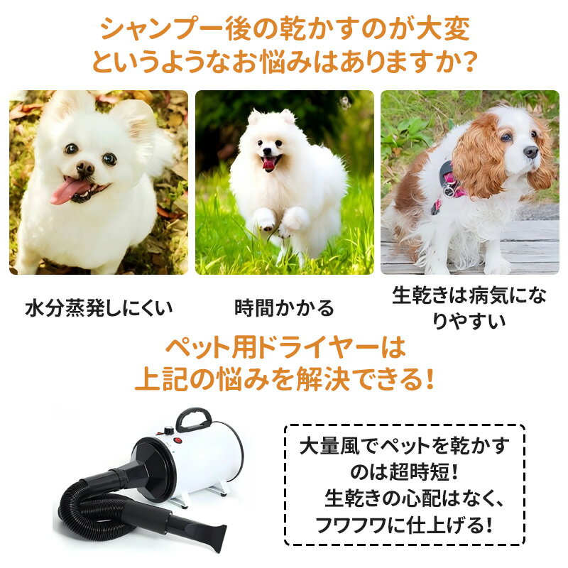 ESLUVE �ڥå� �ɥ饤�䡼 �ڥåȥإ����ɥ饤�䡼 �ڥå��� �� ǭ �֥�� ���� ������ ®�� �ڥåȥإ������� �� ��ñ��� ��̳�� �ڥåȥ����� ����Ĵ�� �Ų� ������ �����㸺 PSE�ޡ��� ������ 2ǯ�ݾ�