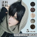 ウィッグ メンズ 男装 かつら フルウィッグ メンズ ショート 男装 フルウィッグ 自然 オールウィッグ 男女兼用 かっこいい 快適な着心地 グラデーション ボ...