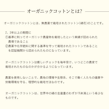 夏におすすめ【2枚セット】オーガニックコットンマスクカバー※色選択可※子供用はホワイトのみフィルターポケット付き　マスクオーガニック　抗菌　防臭　UVカット　薄手　マスク　予防敏感肌　子供　マスク　洗える 使い捨てマスク 布マスク 消毒　除菌 日本製