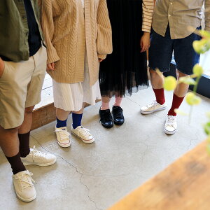 【紙衣(かみこ)婦人リブソックス】22-24cm 新感覚!ムレない!紙の靴下 日本製靴下 レディース 和紙 ひんやり さらさら 蒸れない 気持ちいい スニーカー 和風 冷房対策 保温 トモエ繊維 ギフト 母の日 暖かい 冷え【RCP】
