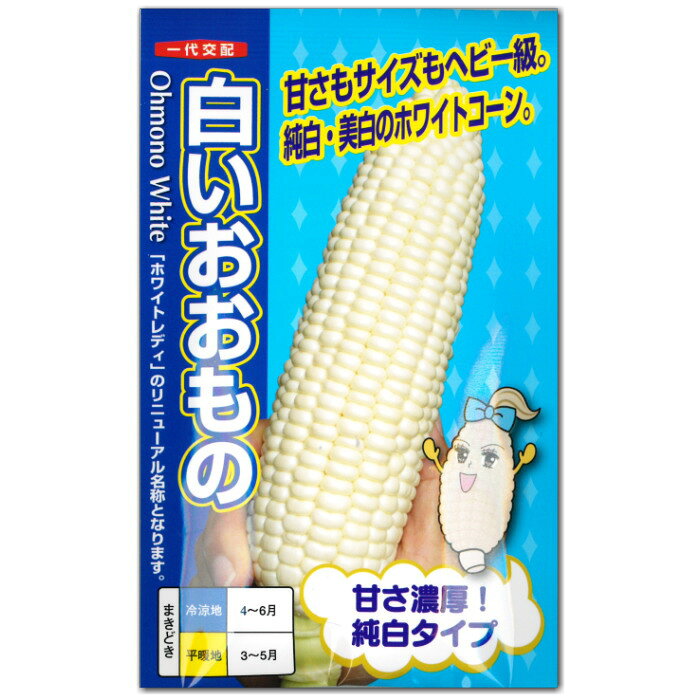 『 白いおおもの 』 トウモロコシ 種子 スイートコー