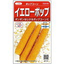 トウモロコシ ポップコーン イエローポップ 種子 20ml