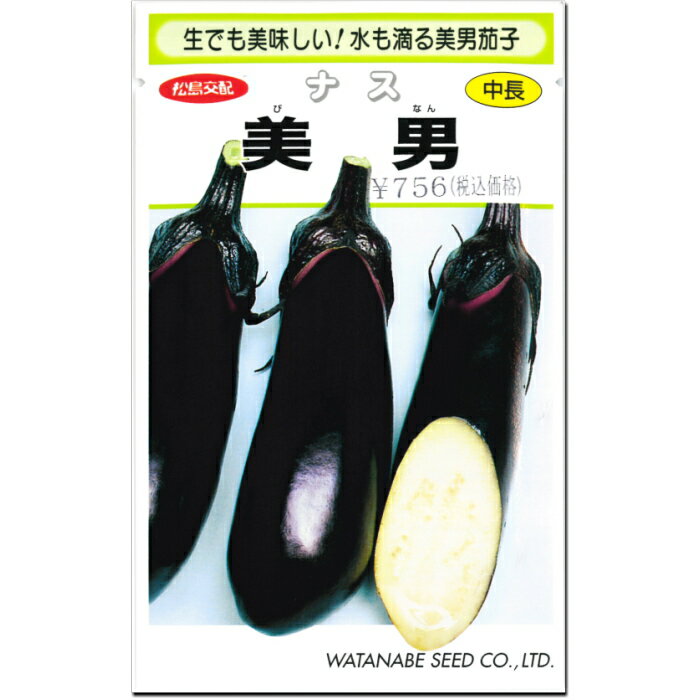 Rakuten - 『 美男 』 みずなす 種子 0.4ml ナス 茄子