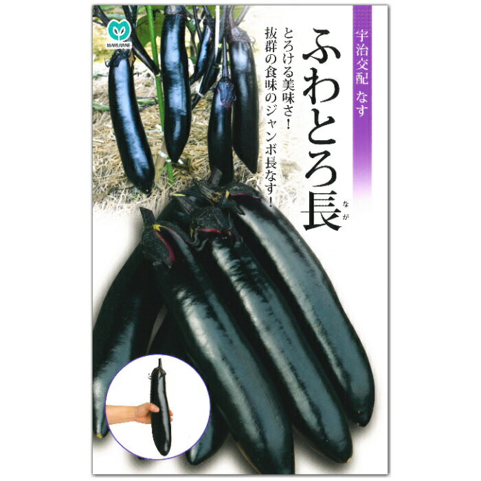 ナス 種子 ふわとろ長 40粒 長なすのサムネイル