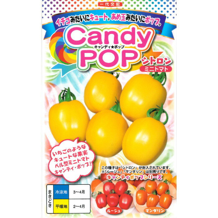 ミニトマト 種子 CandyPop シトロン 7