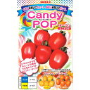 ミニトマト 種子 CandyPop ルージュ 7粒 とまと