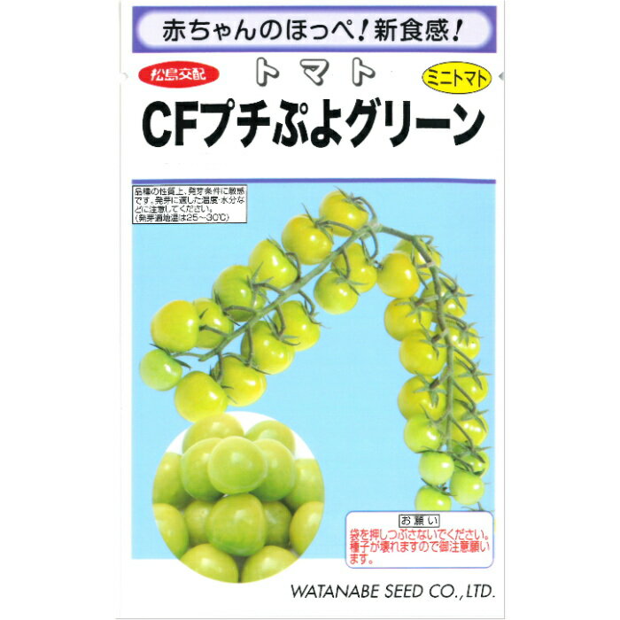 ミニトマト 種子 CFプチぷよ グリーン 100粒