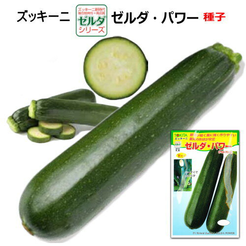 楽天市場】ズッキーニ 種 ゼルダの通販