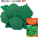 ブロッコリー 種子 ハイツSP 0.8ml~1.2ml