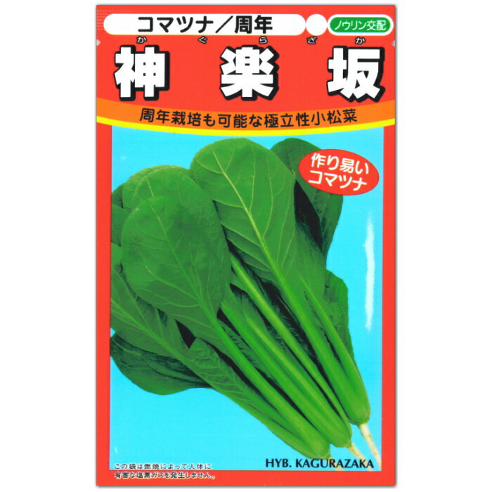 小松菜 種子 神楽坂 かぐらざか 10ml