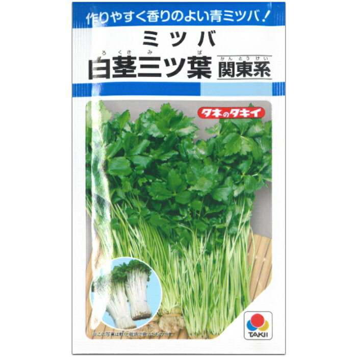 みつば 種子 白茎三ツ葉（関東系） 13mlのサムネイル