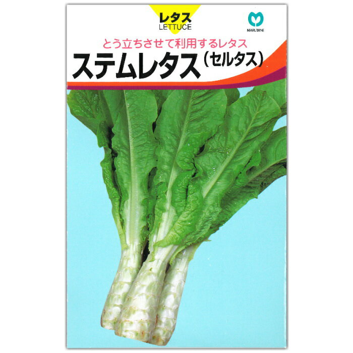https://thumbnail.image.rakuten.co.jp/@0_mall/naeya/cabinet/02hasai/lettuce/sutem1.jpg